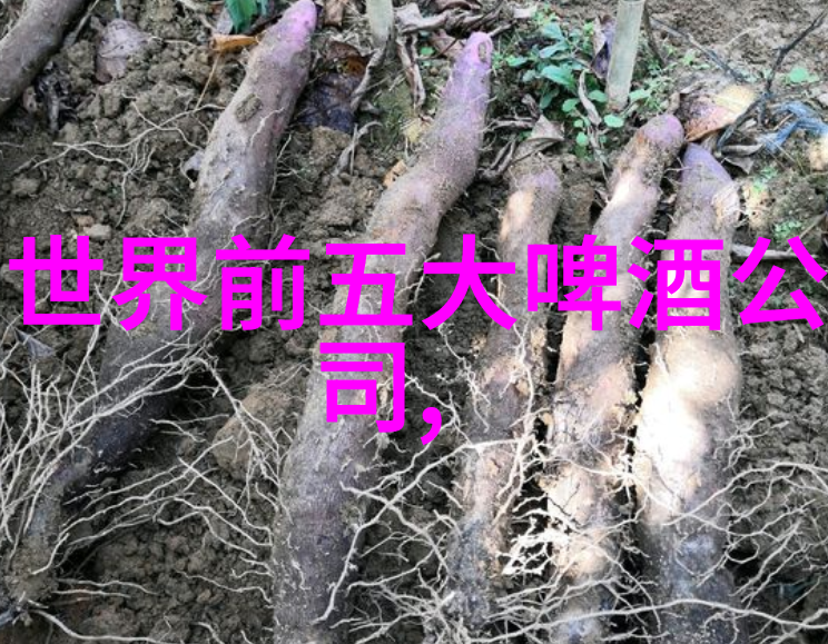 OB啤酒公司员工自愿参与回收废电池